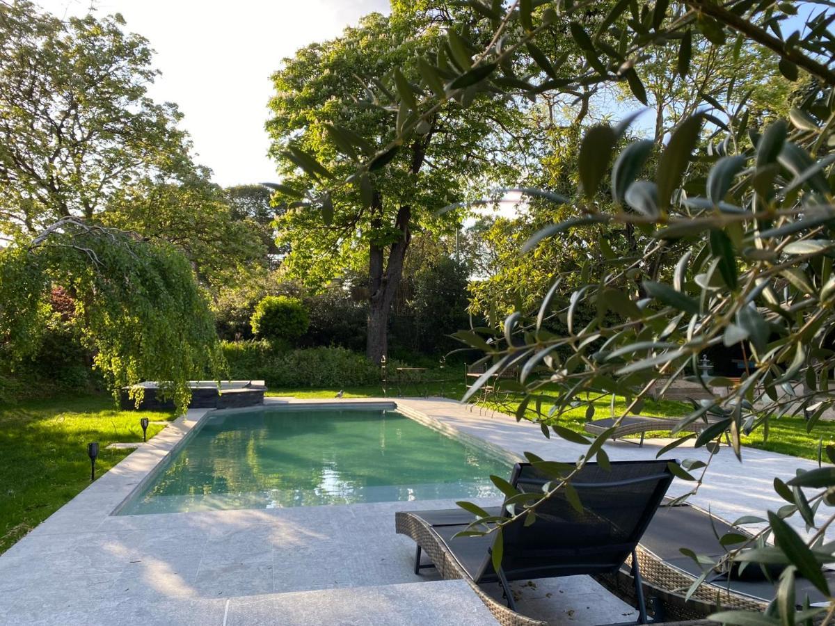 Demeure Saint Louis Historic Manor, City 700M, Parking,A C,Clim,Wifi, Heated Pool, City View Carcassonne Exterior photo